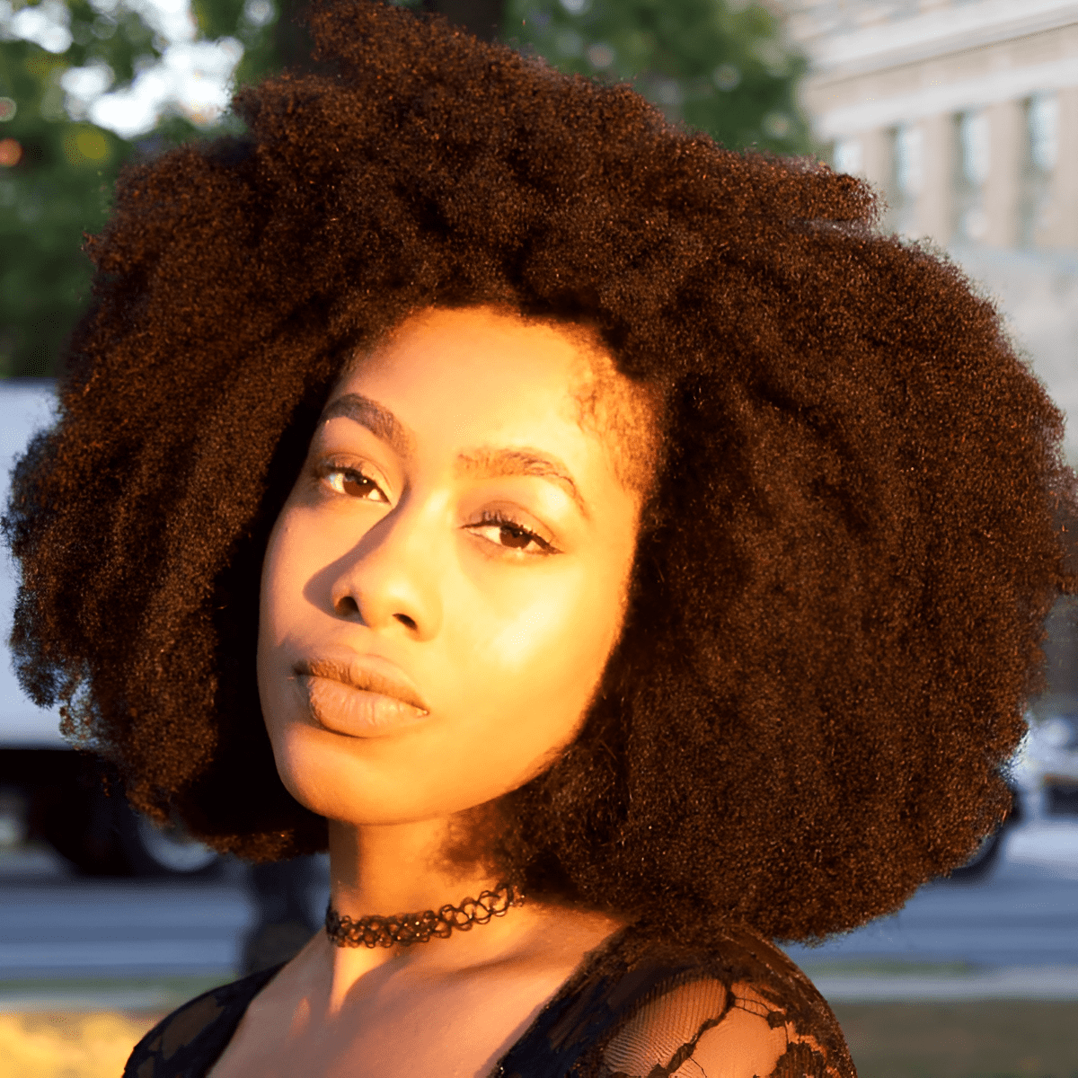 radiant afro curl elegance