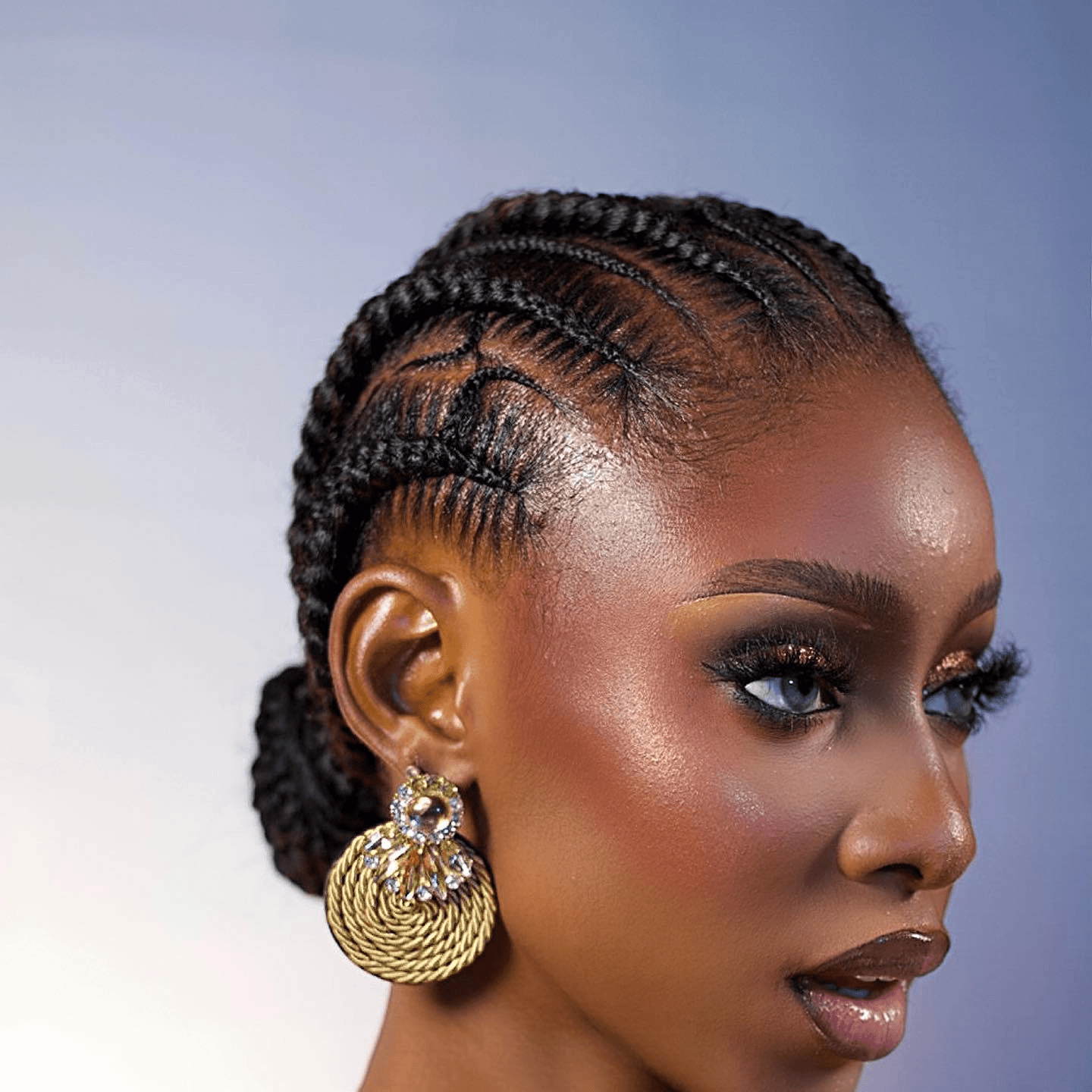 elegant braided low bun