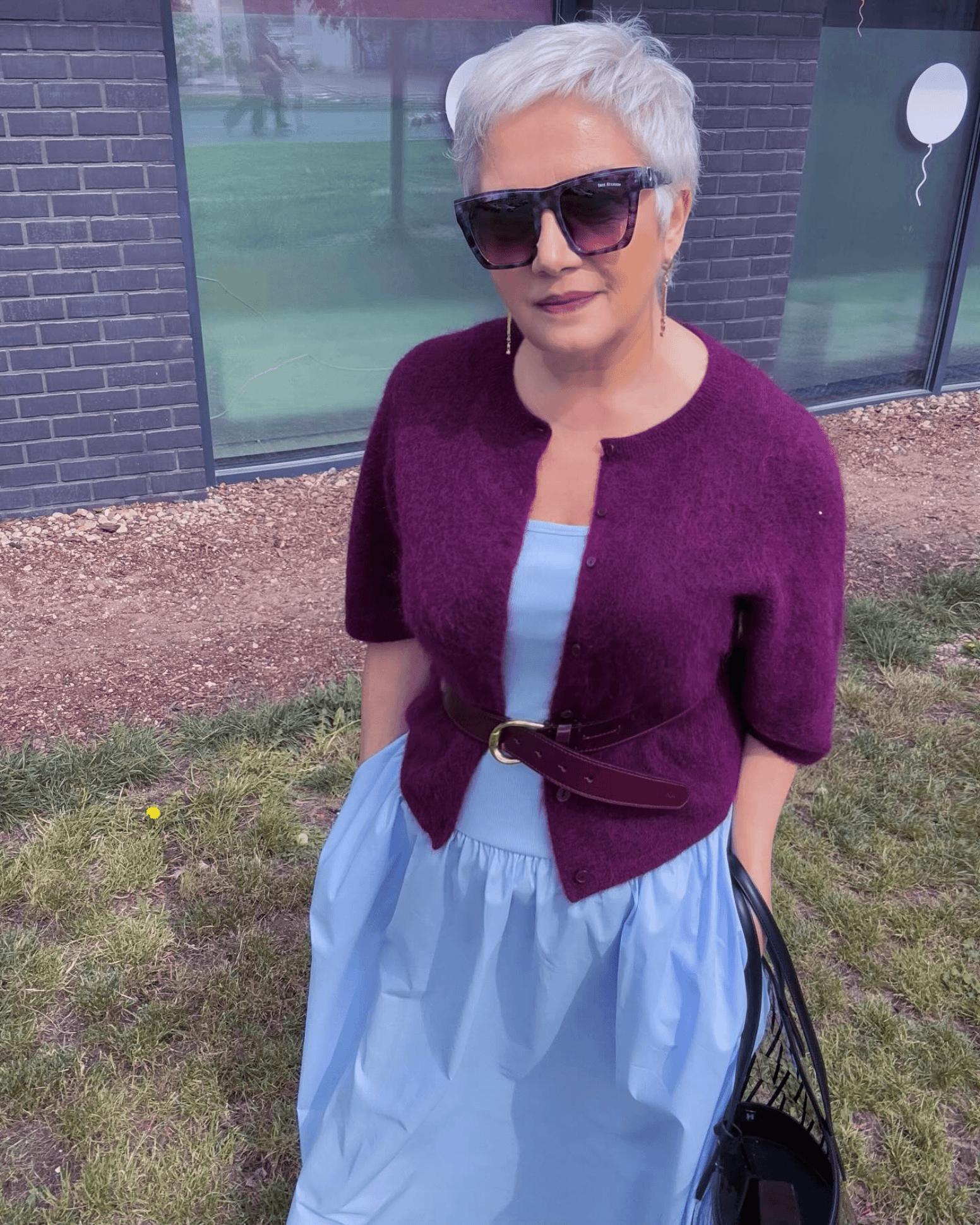 Silver Pixie Elegance Unveiled