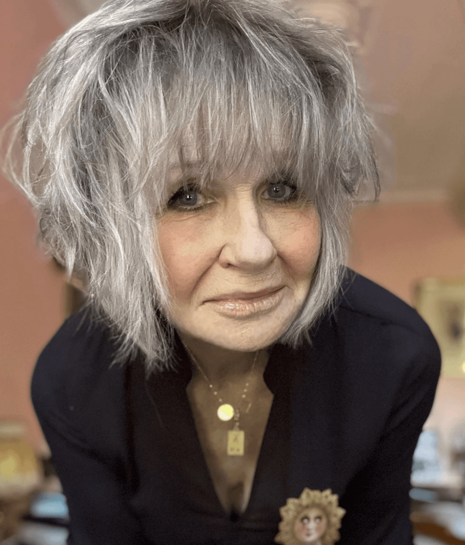 Shaggy Silver Rock Vibes