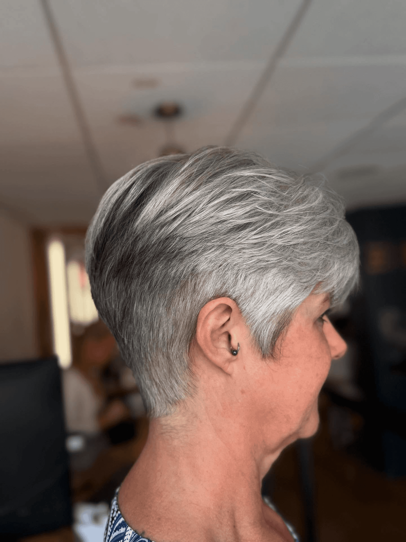 Silver Beauty Pixie Style