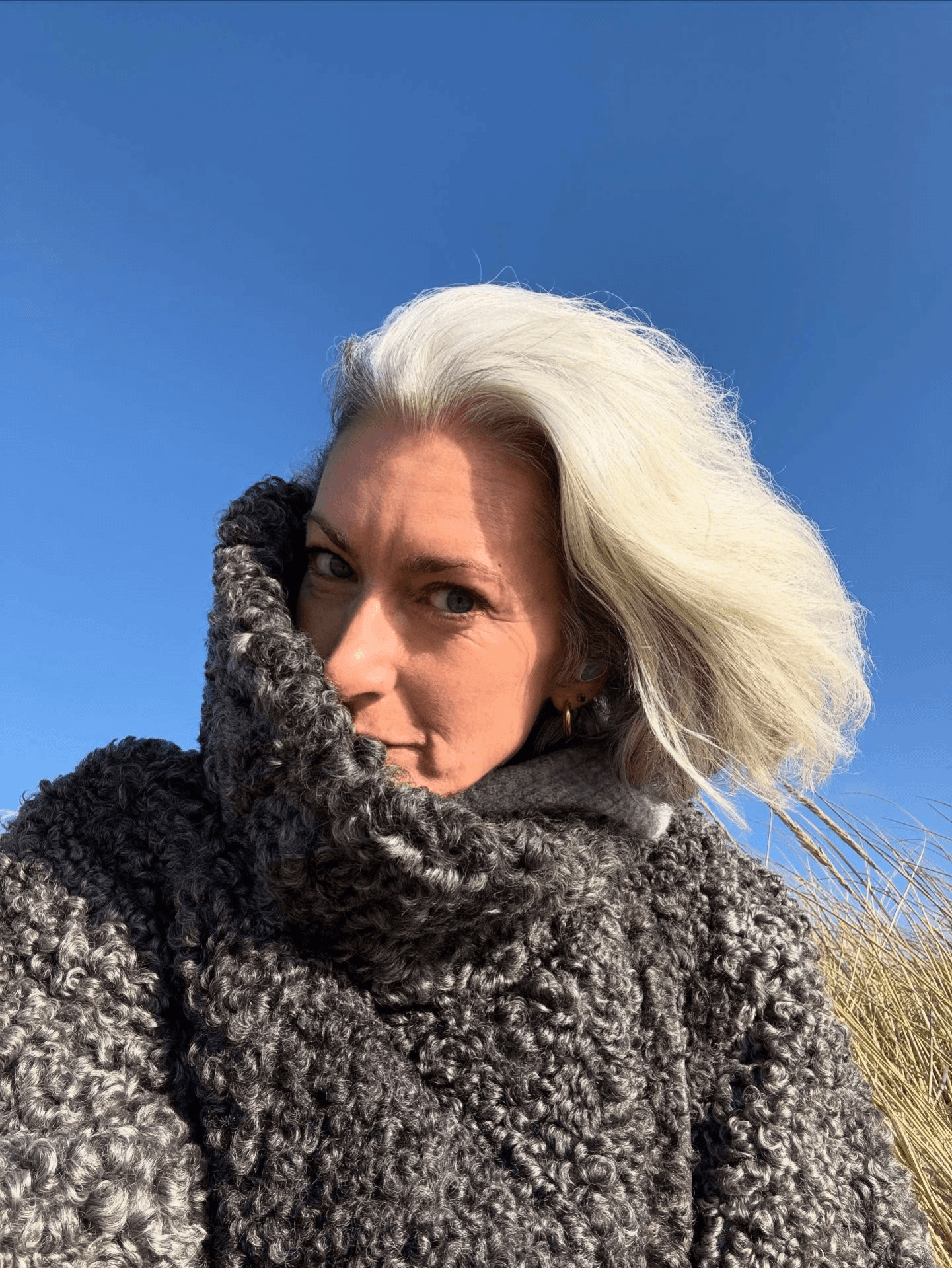 Windswept Silver Bob Windswept Silver Bob