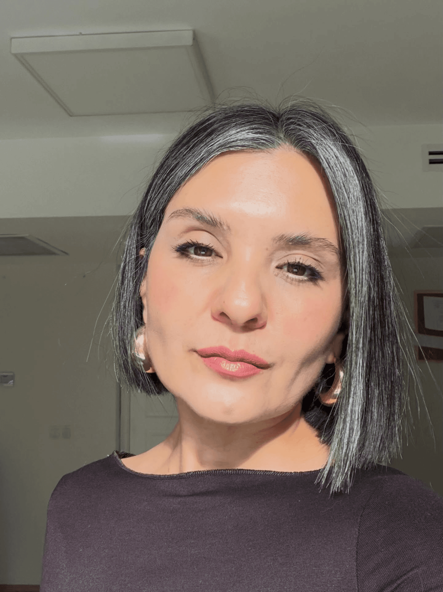 Chic Silver Streak Bob