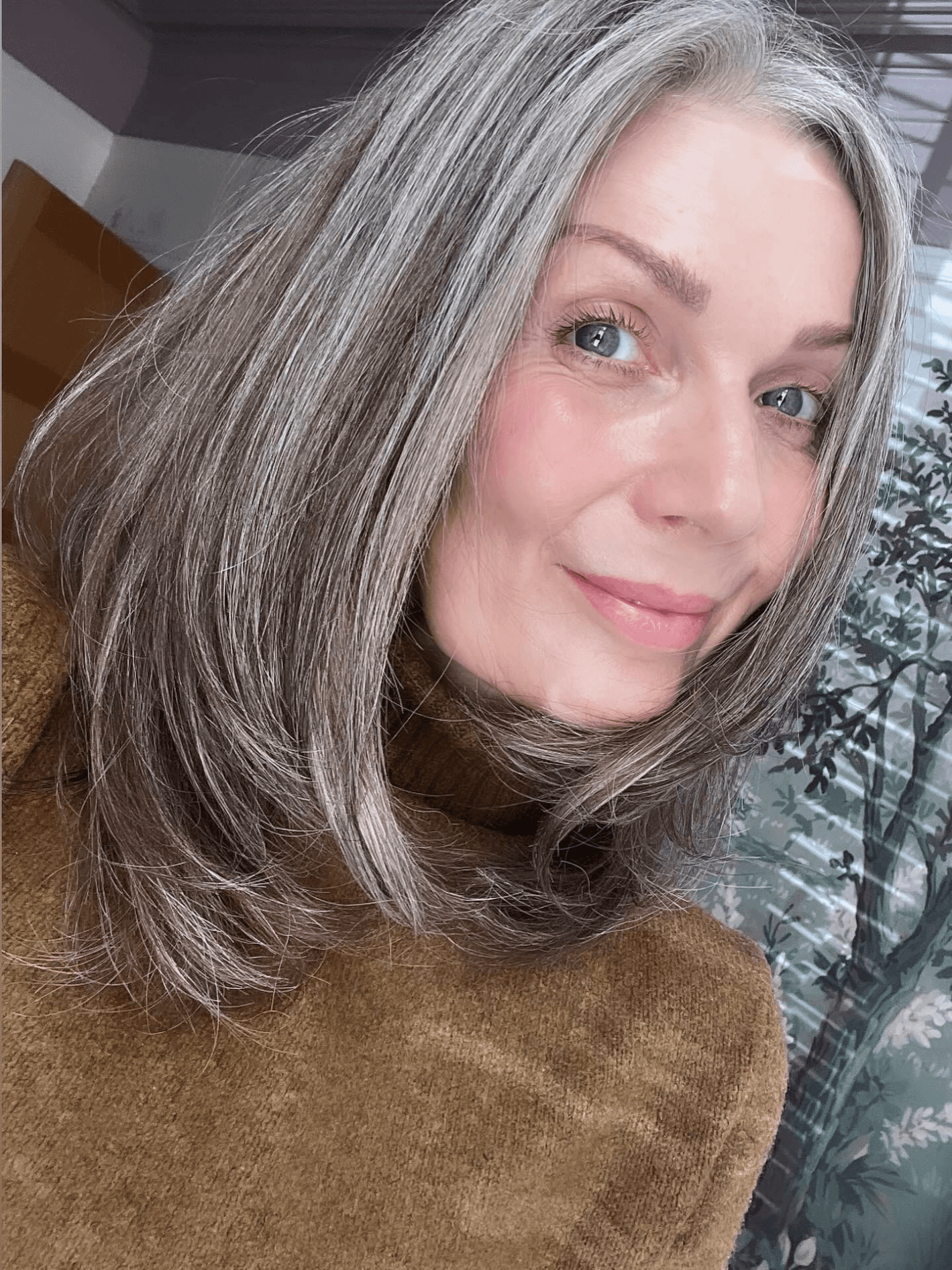 Ageless Silver Gray Layers Ageless Silver Gray Layers