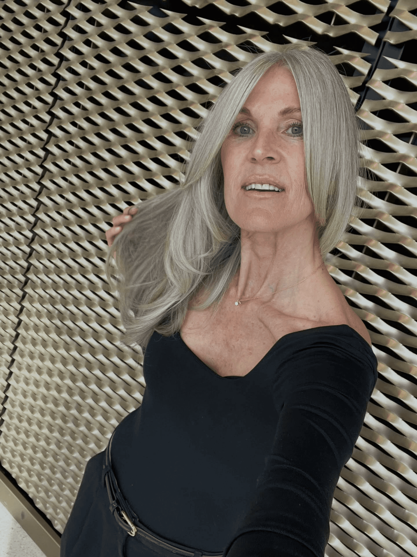 Silvery Layered Natural Elegance Silvery Layered Natural Elegance